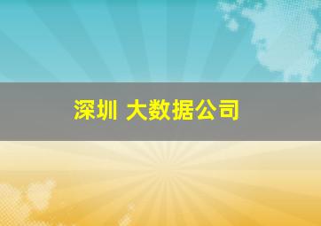 深圳 大数据公司